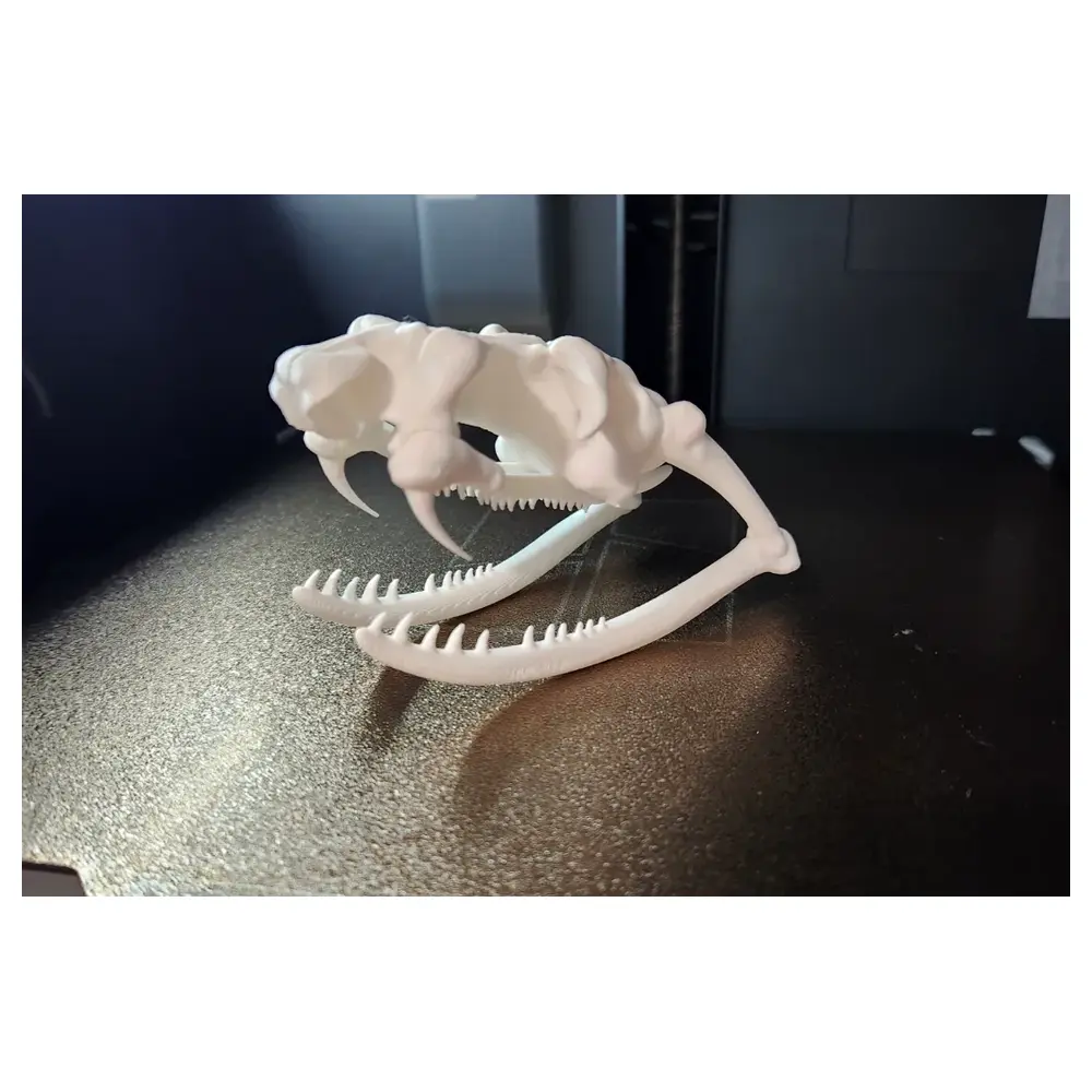 Snake Head Bones Wholesale Retail Price Deals Snake Head Bone Accessories Repair Parts Processing