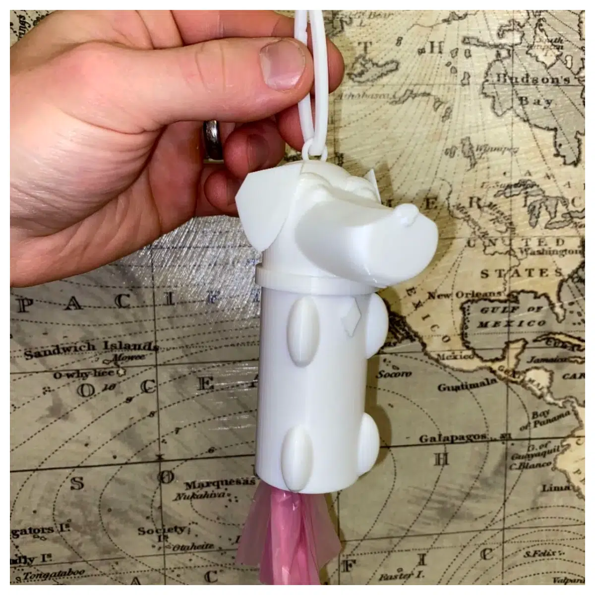 Dog Poop Bag Holder Dispenser Dog Waste Bags Pet Waste Bags Dog Potty Accessories Walking Gear