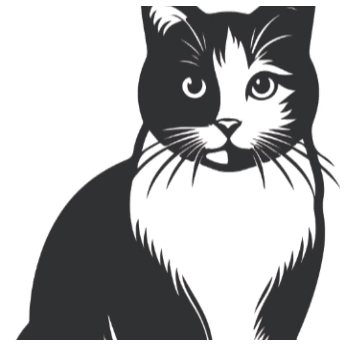 Cat Wall Decoration Creative Cat Wall Stickers DIY Pet Wall Indoor Decor Simple Cute Wall Decoration Accessories
