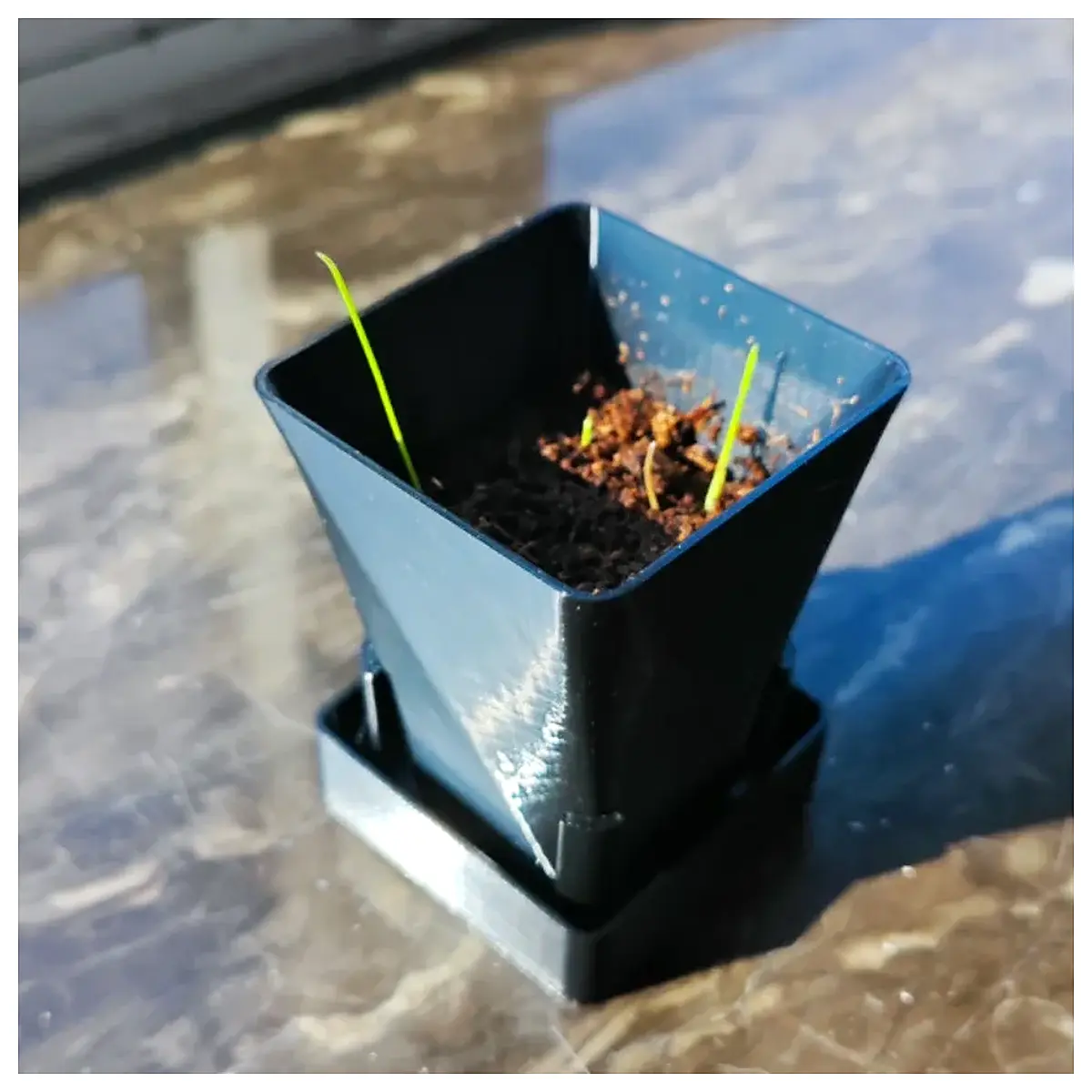 Easy Change Nursery Pots Seedling Trays Planting Tools Pot Gardening Moveable Pots