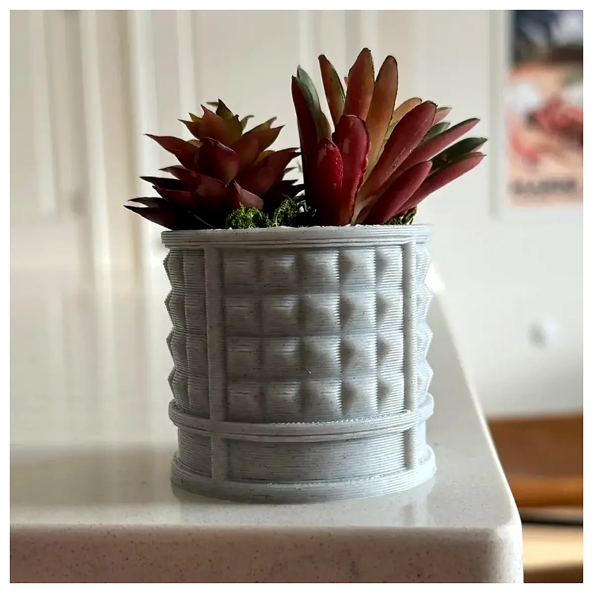 P02 Concrete Planter Versatile Flower Pot Garden Container Plant Care Watering Flower Pots