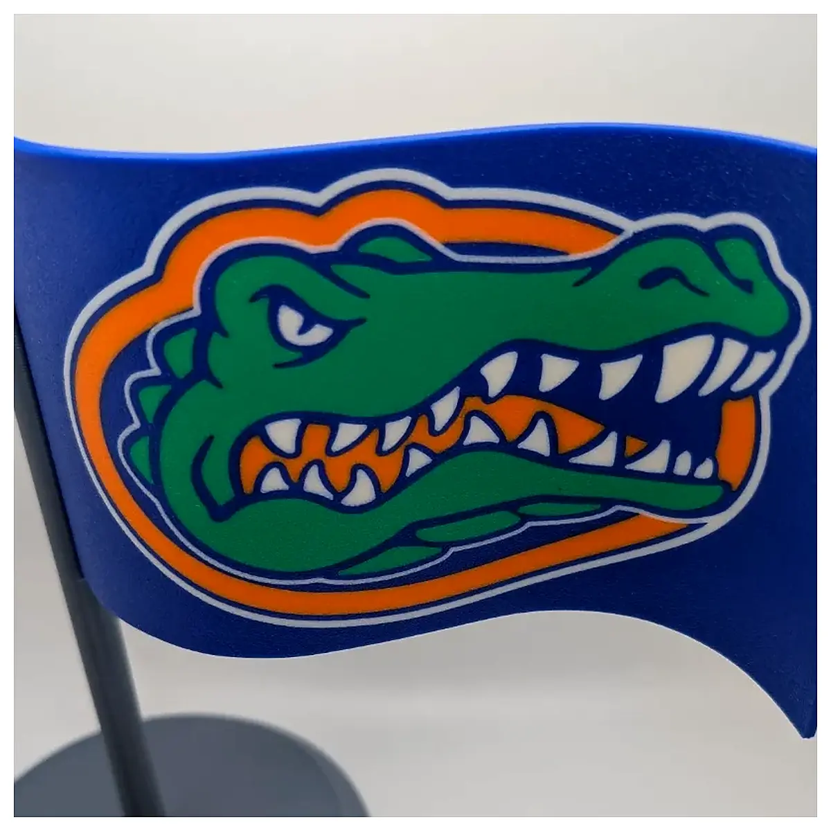 University of Florida Flag Plate Memorabilia Collectible Historical Artifacts Gainesville