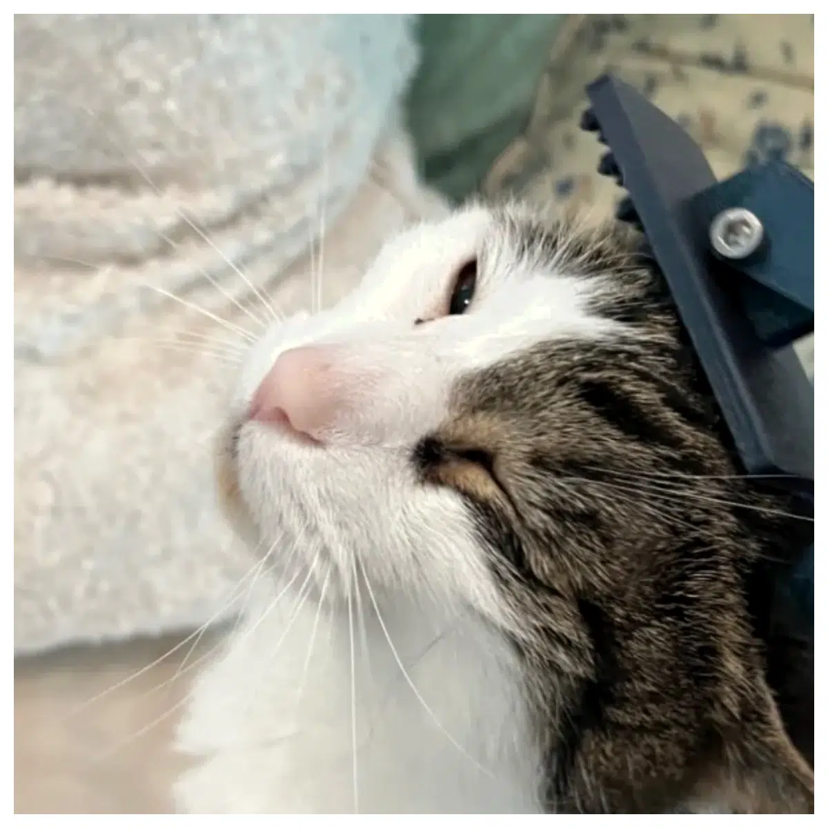Multi Cat Brush Grooming Tool Pet Hair Removal Fast Cleaning Stubborn Mats Bathroom Cleaner Pet Supplies