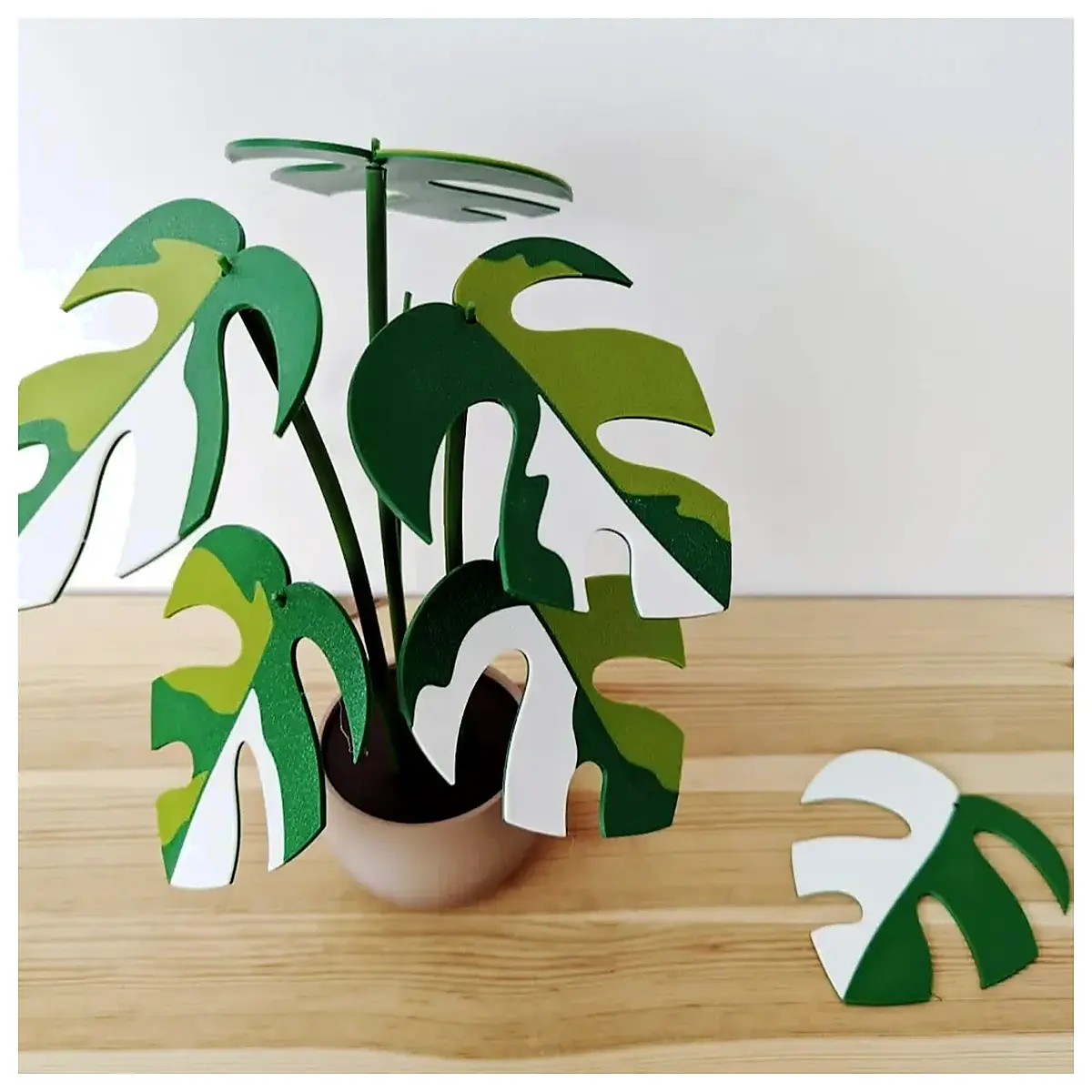 Cracked Leaf Xilin Vine Plant Shelf Plant Potting Care Cultivation Indoor Green Plants Succulents