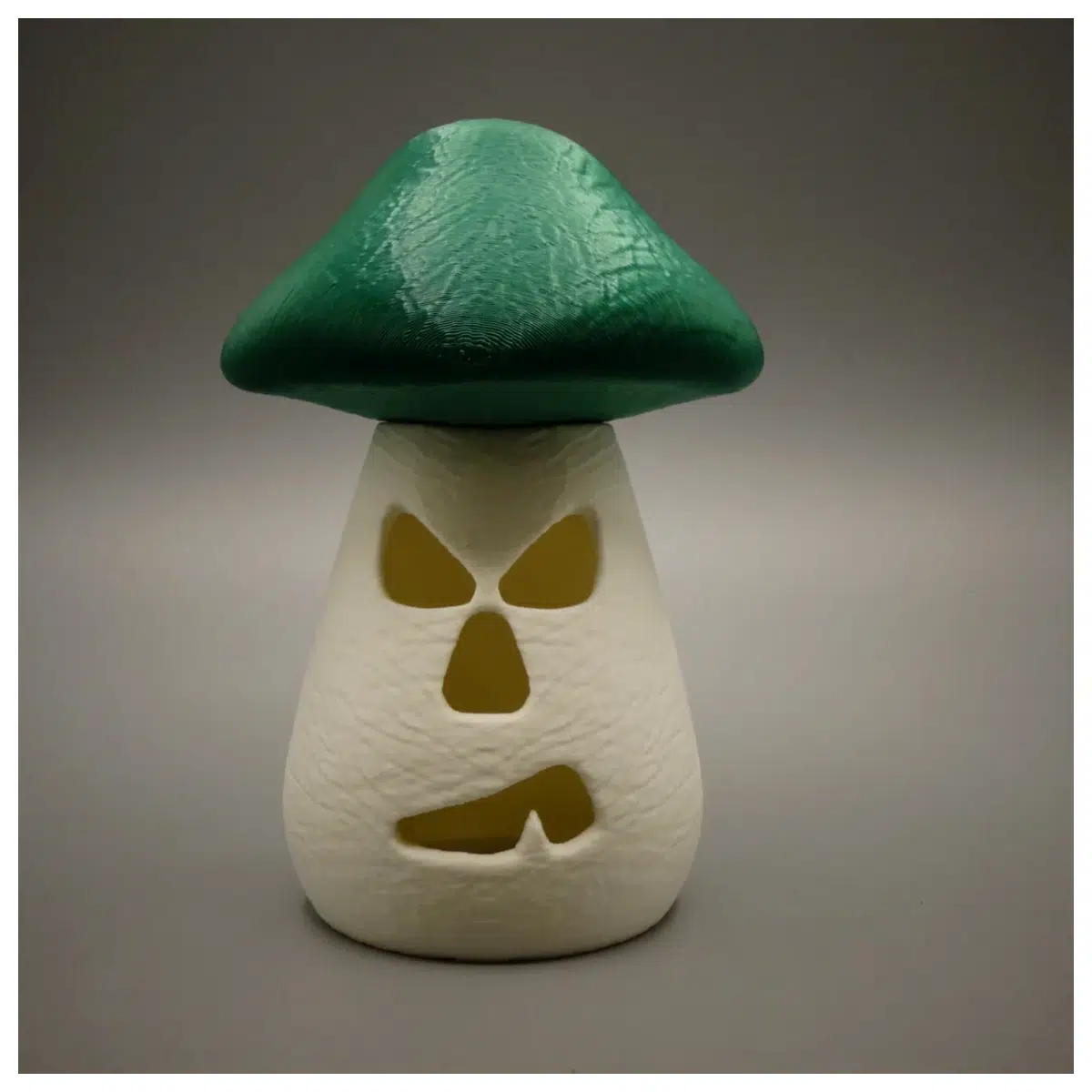 Halloween Mushrooms Foraging Guide Poison Mushroom Identification Outdoor Adventure Gear Mushroom Photography Tips
