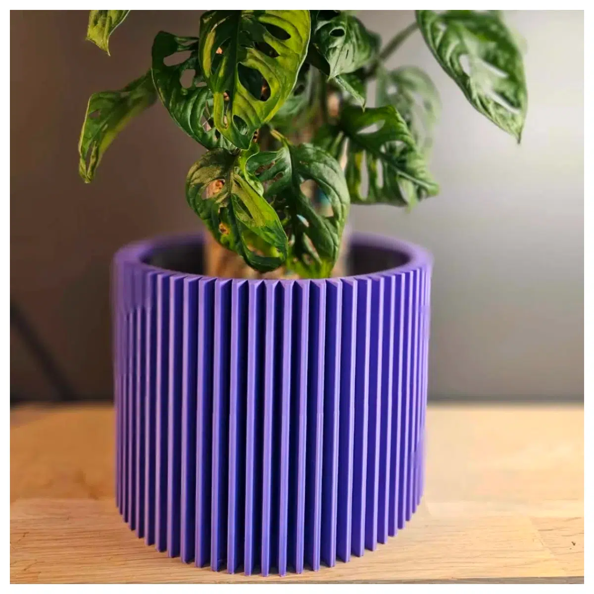 Stylish Plant Pots Succulent Planters Indoor Planters Decorative Pots House Plants Garden Decor