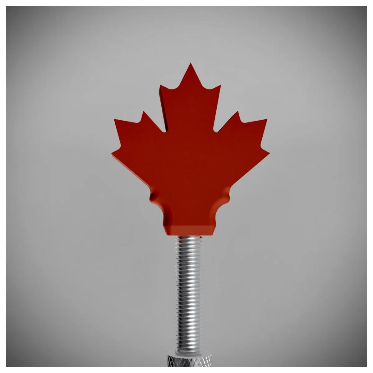Maple French Valve Cover Gasket Auto Parts Cylinder Head Repair Parts Maple French Valve Cover Replacement