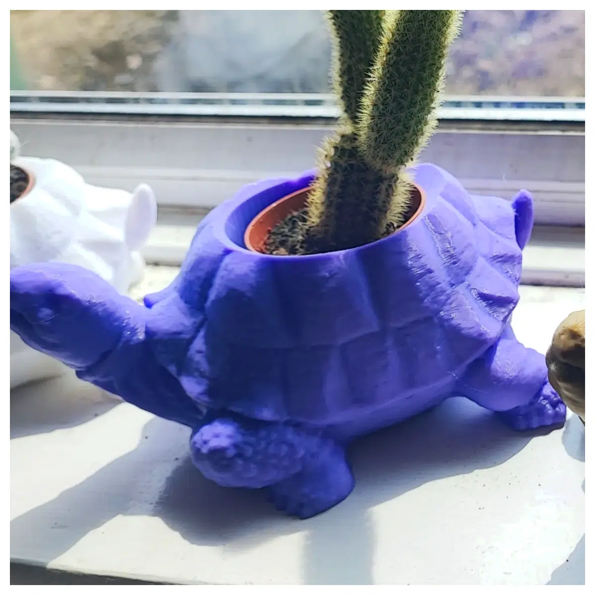 Pots Bins Terrarium Plants Flower Pot Accessories Planting Pot Wholesale