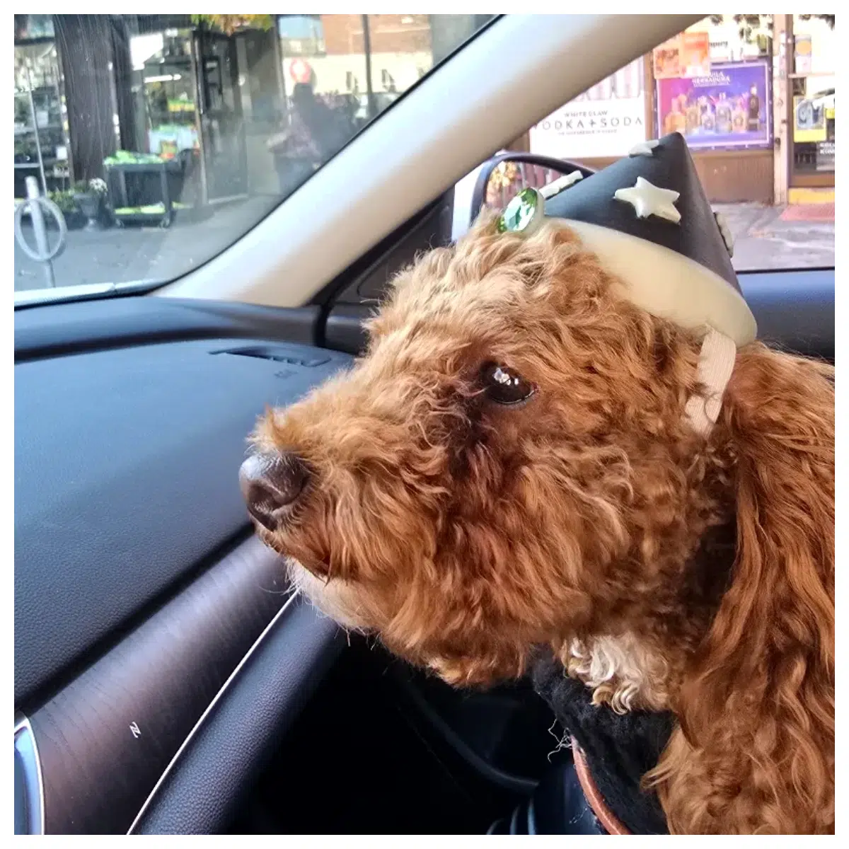 Dog Wizard Hat Child Cosplay Costume Pet Party Halloween Decoration Wizard Hat Toy Accessory