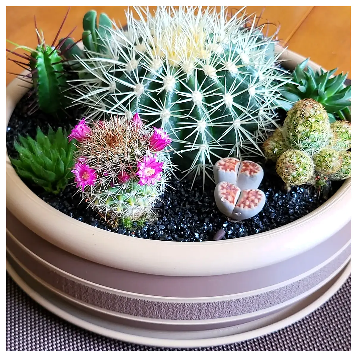 Large Planter Trays Planter Stands Flower Pot Trays Garden Planter Bases Multi Planter Trays Planting Pots