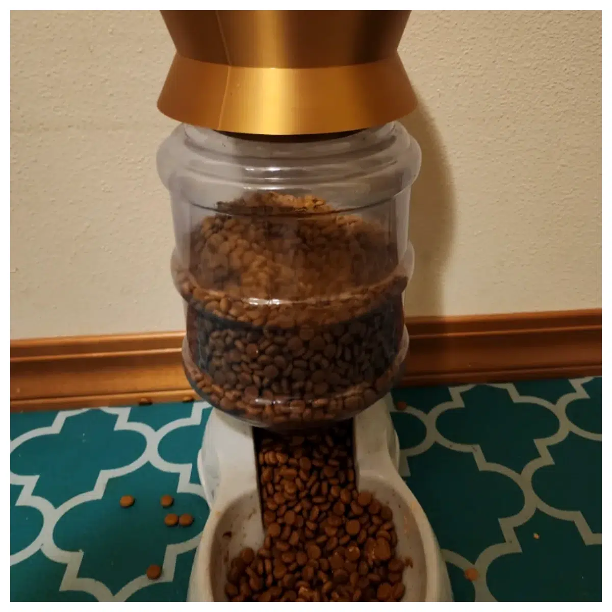 Cat Food Funnel Automatic Feeder Pet Food Dispenser Measuring Cup Kitchen Gadget Pet Accessories