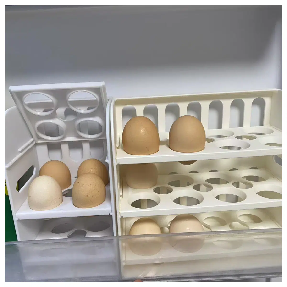 Small Egg Storage Box Fridge Door Organizer Egg Holder Container Multi Compartment Design