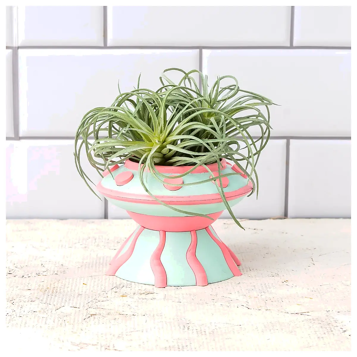 Planter Pots Indoor Plants Succulents Flower Pots Gardening Tools Plant Containers Universal Planters