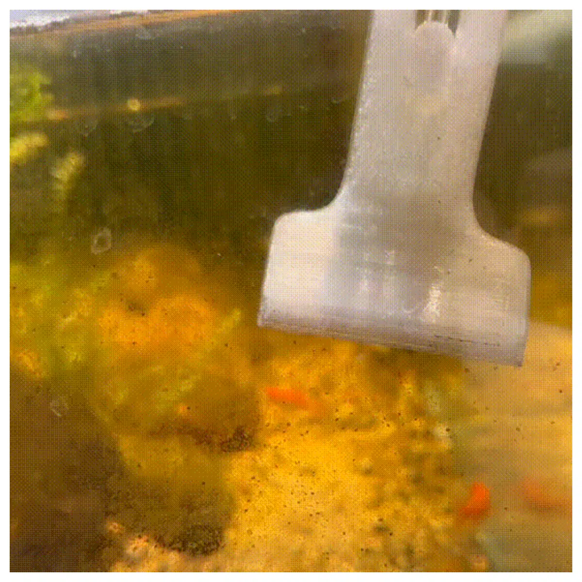 Skimmer Scraper Suction Tube Pond Water Quality Testing Algae Removal Water Surface Cleaning Water Analysis Accessories