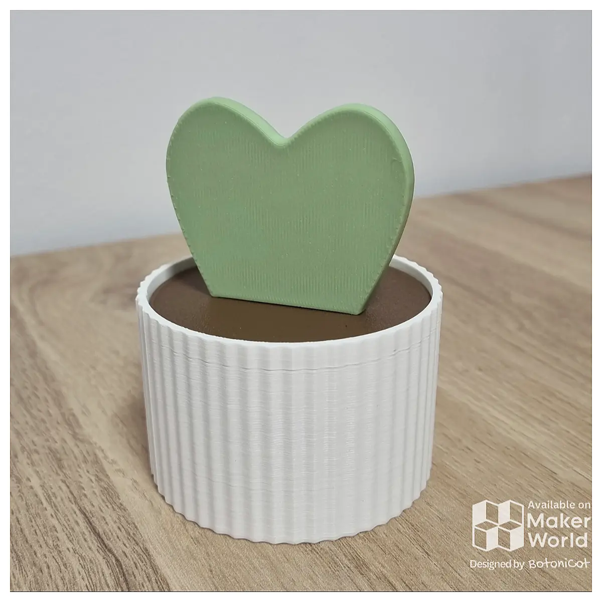 Succulent Storage Box Ball Cactus Gift Couple Present Succulent Planters Growing Tools Mini Organizer
