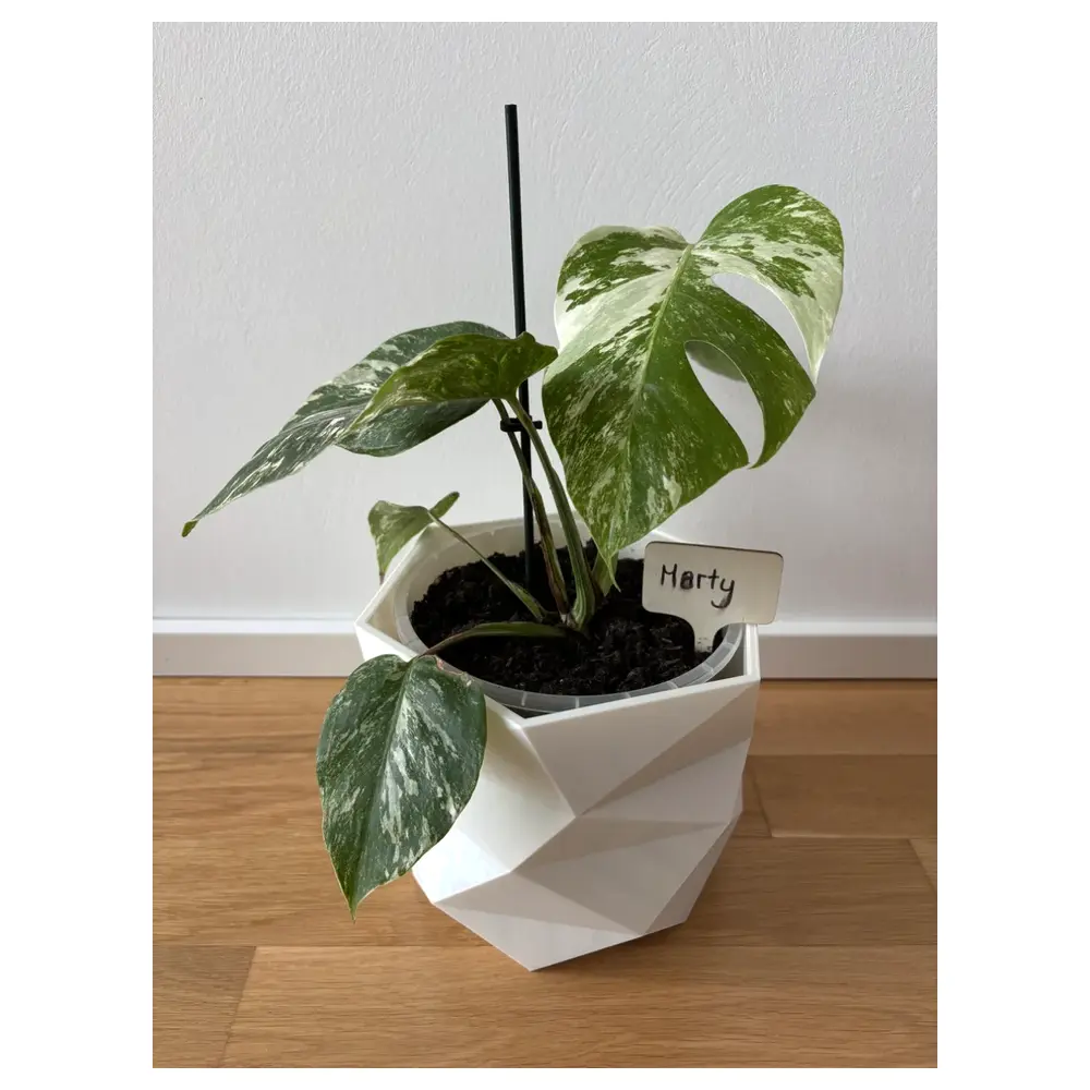 Planter 18cm Low Poly Geometric Flower Pot Container Garden Decor Floral Planting Box