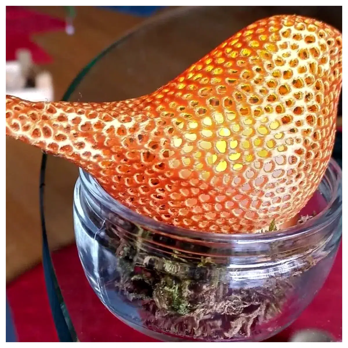 Wronski Bird Bird Decor Lighting Decorative Creative Design Modern Bird Lights