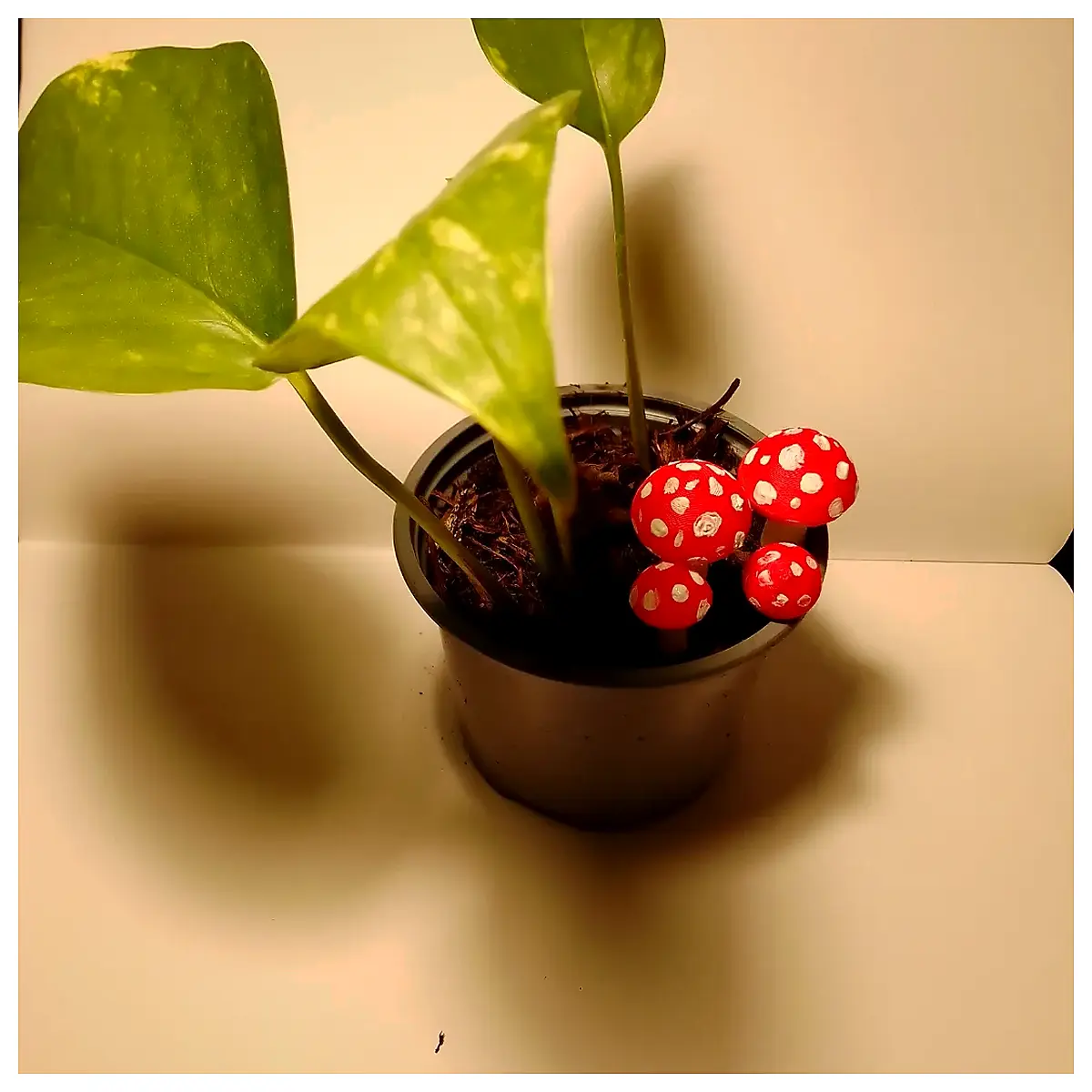 Miniature Mushroom Decoration Plant Diorama Accessories Landscape Models Realistic Fungi Decoration