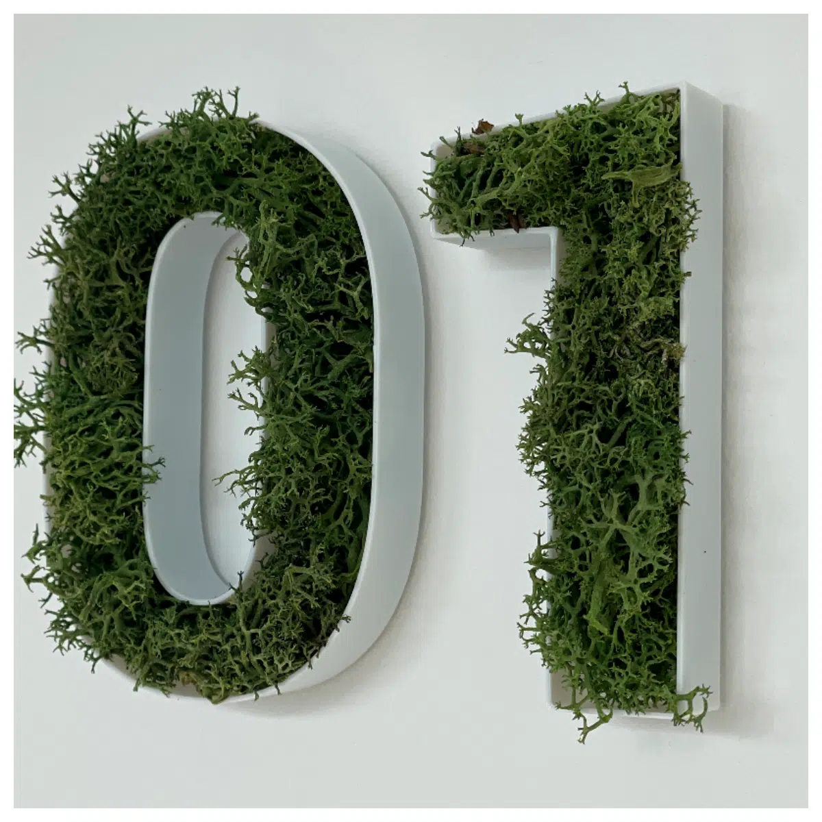 Moss Digital Smart Home Sensor Indoor Environment Monitoring Data Analysis Smart Home Accessories Intelligent Devices