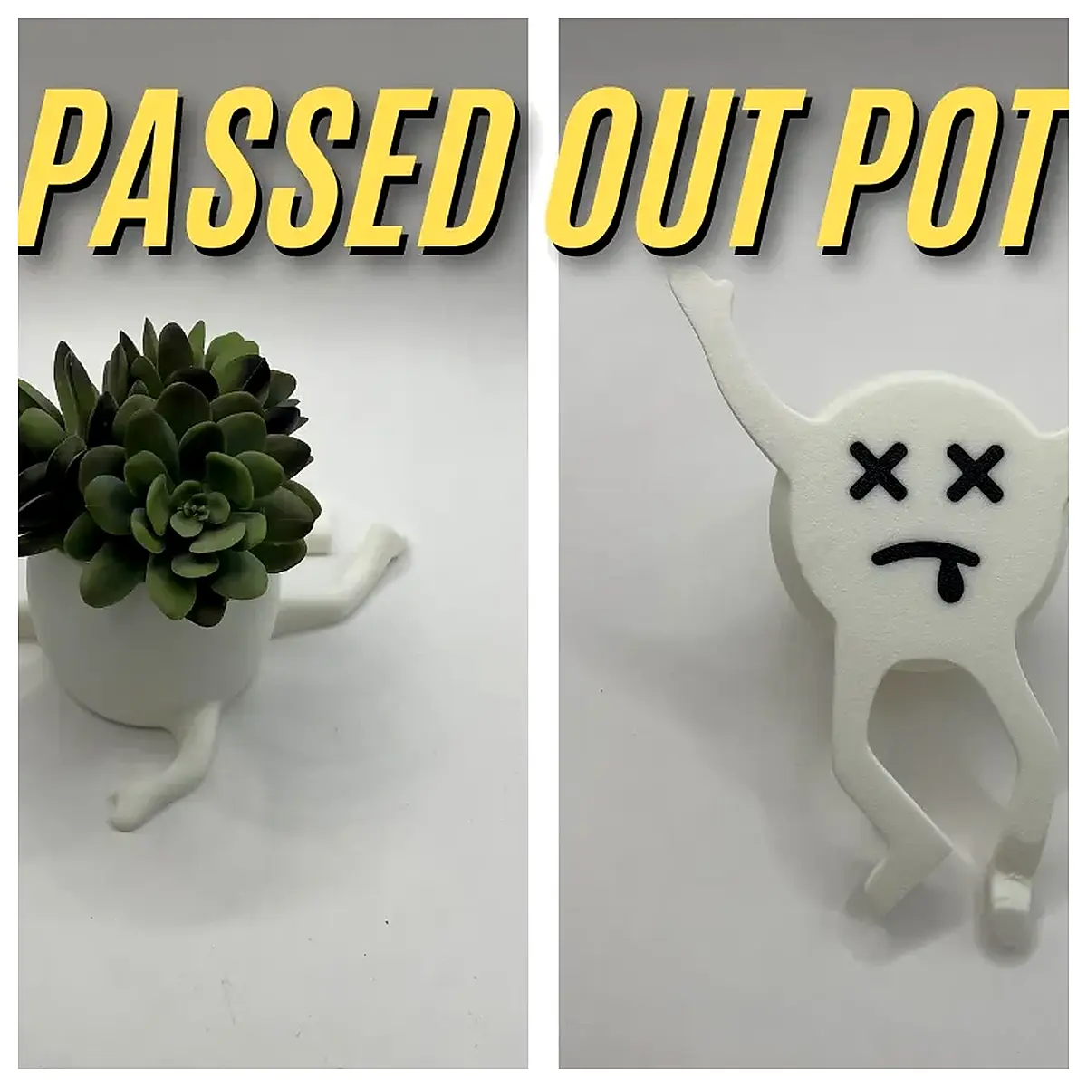 Dormant Succulents Mini Terrariums Cactus Plants Terrarium Care Tips Succulent Plants