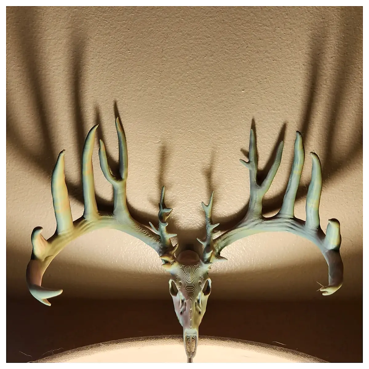 Deer Horn Stand Antler Display Skull Decor Museum Piece Bone Display Skeleton Stand 98 characters