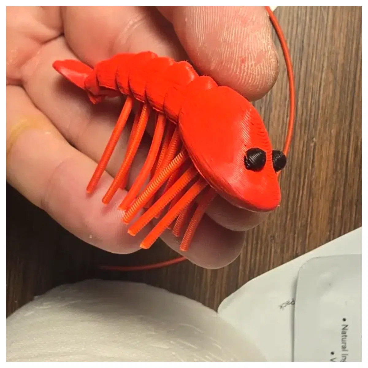 Active Shrimp Lively Shrimp Moving Shrimp Live Shrimp Shrimp Fresh Shrimp Cooking Shrimp Kitchen Shrimp Food Shrimp Home Enjoyment Party Essential Gua