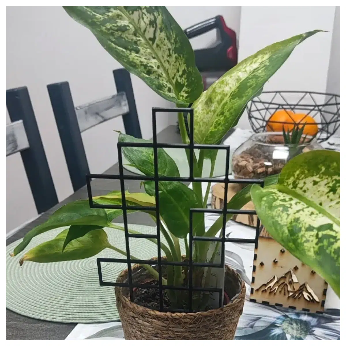 Flower Plant Support Frame Small Square Pot Support Indoor Garden Vertical Green Wall System Plant Growing Support