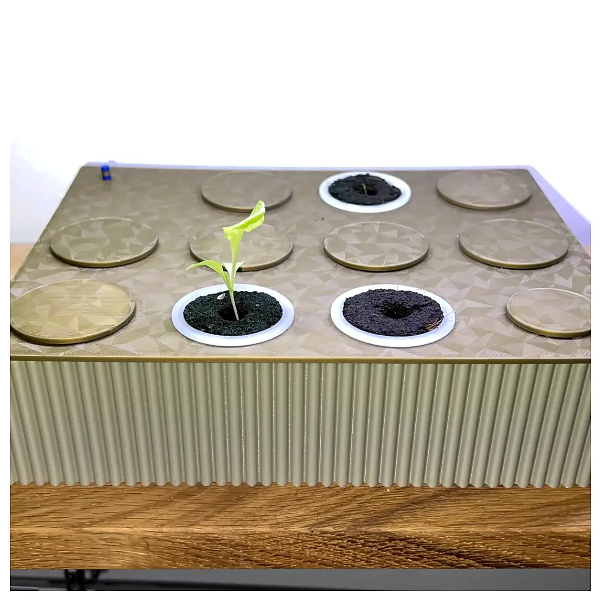 Hydroponic Seed Starter System Kratky Method Vegetable Propagation Pot Growing Indoor Cultivation Seed Starter