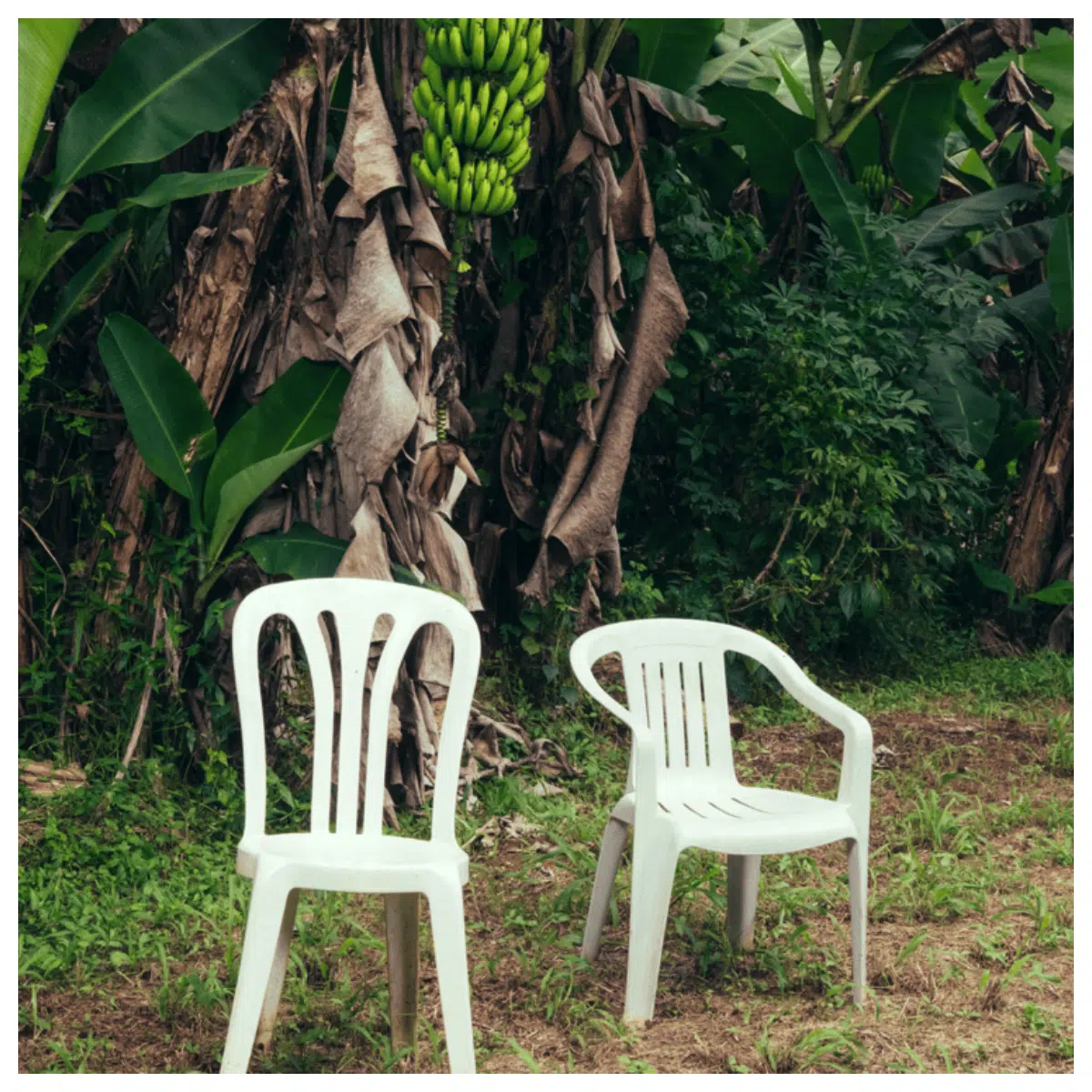 cover model chair Debi Tirar music CD artwork