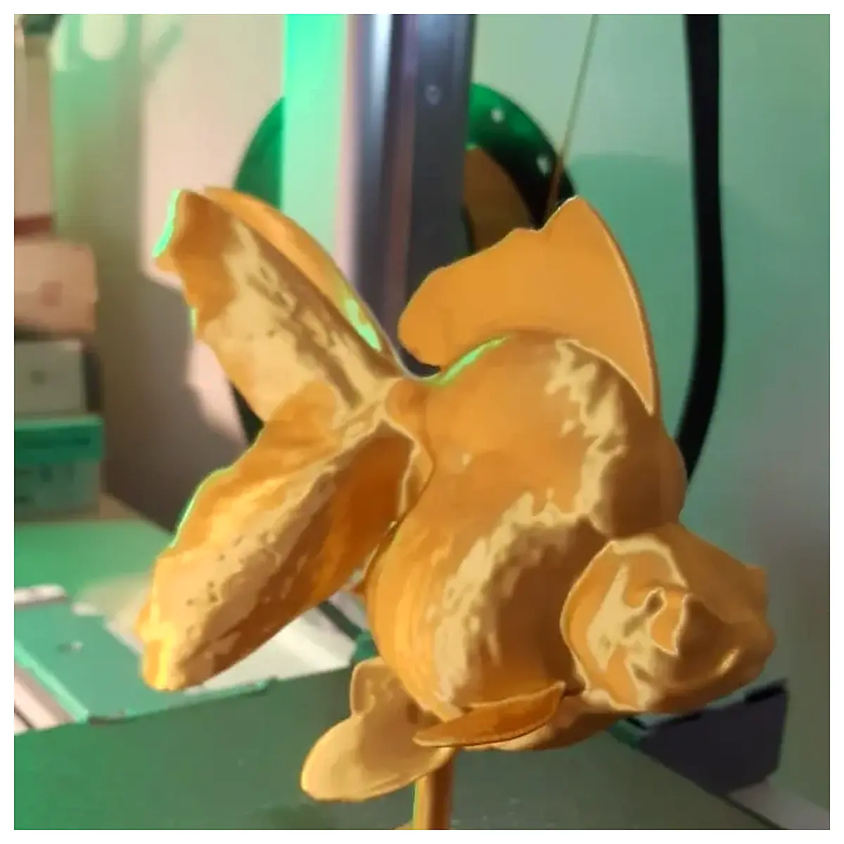 Goldfish Food Nutrition Supplement Fish Food Fish Flake Aquarium Fish Food Nutritional Additives