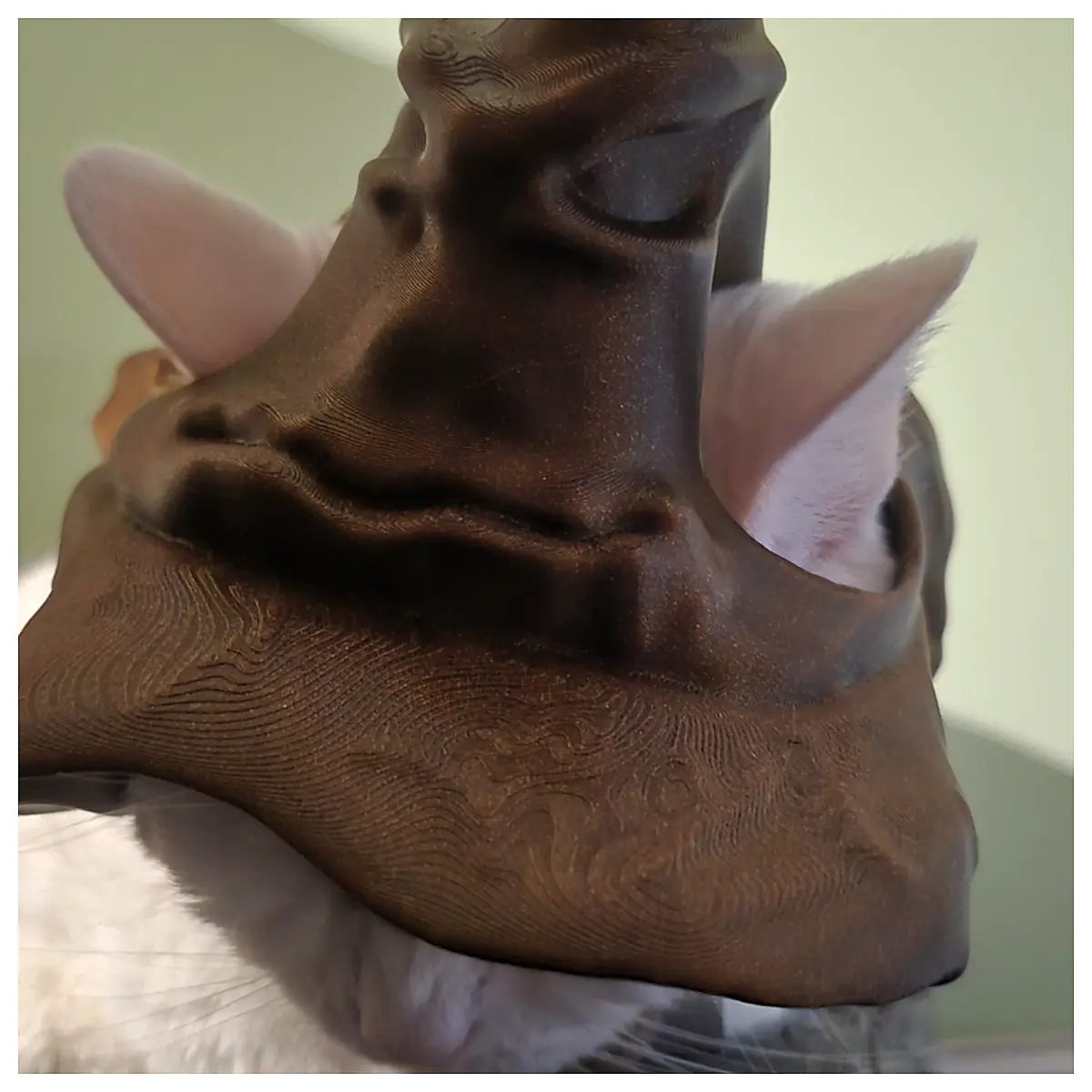 Talking Cat Hat Children s Toy Interactive Cat Hat Voice Headwear Baby Gift Realistic Cat