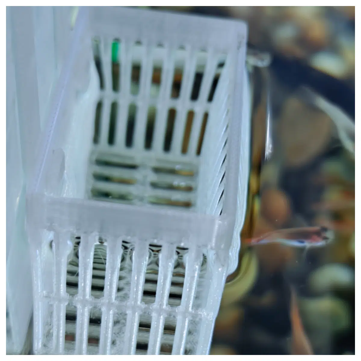 Easy Fish Tank Hydroponic Basket Mounting Fish Tank Hydroponic Basket Support Modular Hanging Hydroponic System Accessories