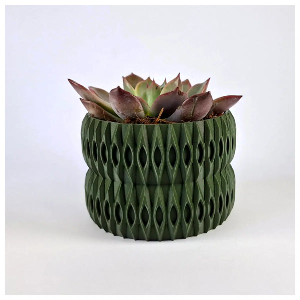 Fashion 3D Printed Planters Creative Plant Pots Gardening Planters Tools Decoration Versatile Planters
