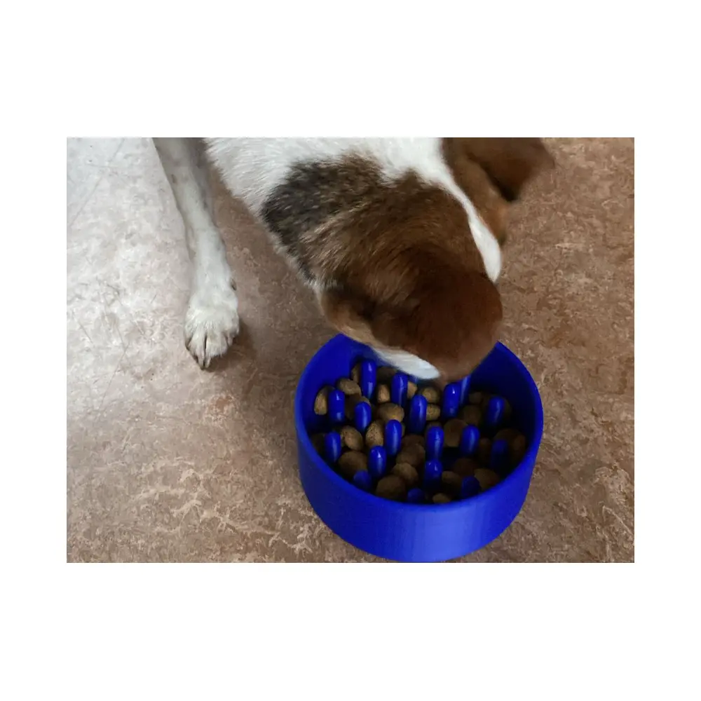 Pet Slow Feeder Bowl Slow Feeder Puzzle Bowl Ceramic Dish Food Bowl Dog Cat Feeding Training