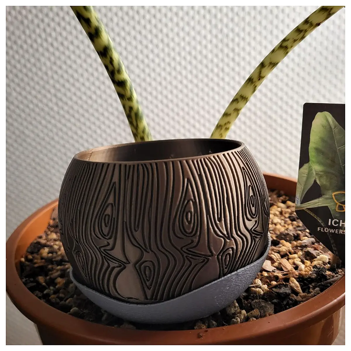 Wooden Globe Planter Decorative Planter Succulent Planter Indoor Planter Garden Planter Pot Planter