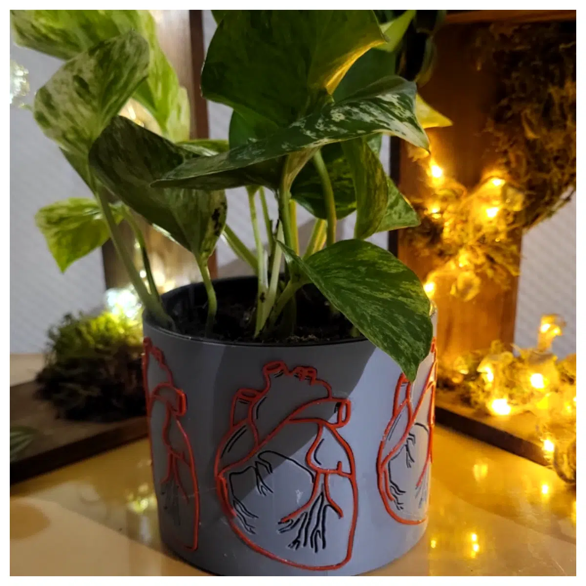 Zero Waste Planters Multi Planters Potted Plants Creative Flowers Decoration Garden Zero Waste