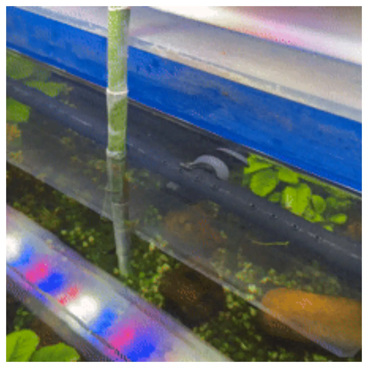 Aquarium Outlet Pipe Curved Tube Aquarium Water Flow Decoration Oxygen Pump Parts Fish Tank Accessories