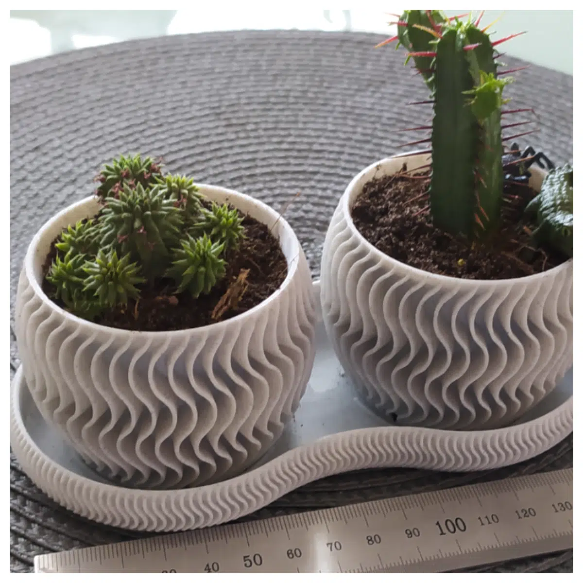 Succulent Container v1 Care Tips Planting Methods Succulent Plants Echeveria Burro s Tail Decorative Pots