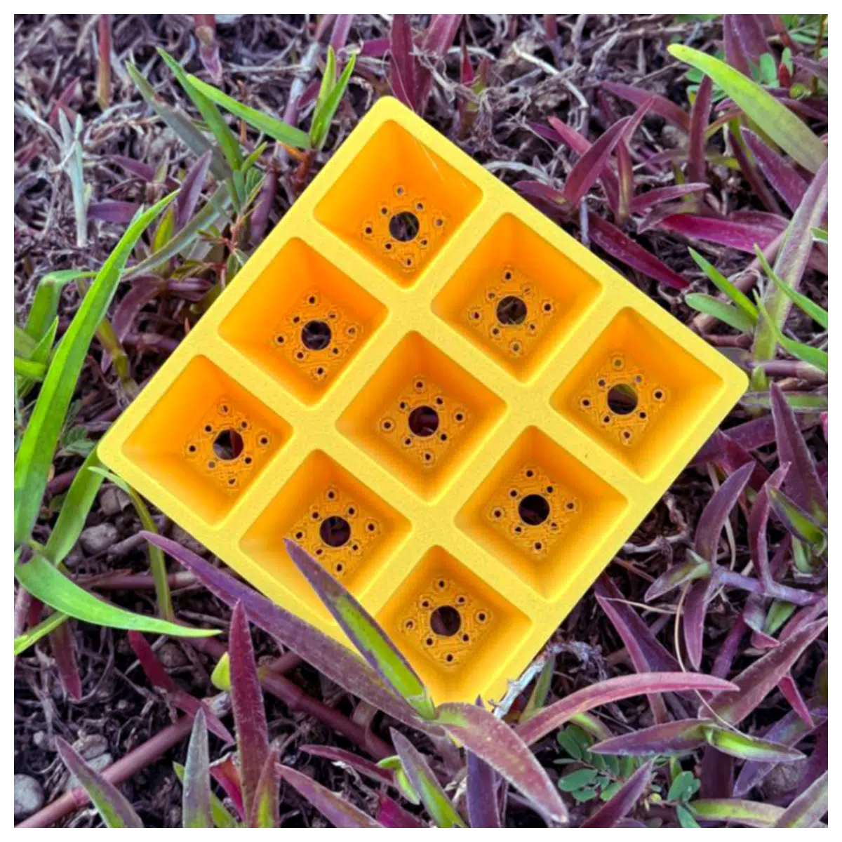 Seedling Tray 3x3 Ice Trays Design Starter Tray Vegetable Propagation Box Seedling Container Mould
