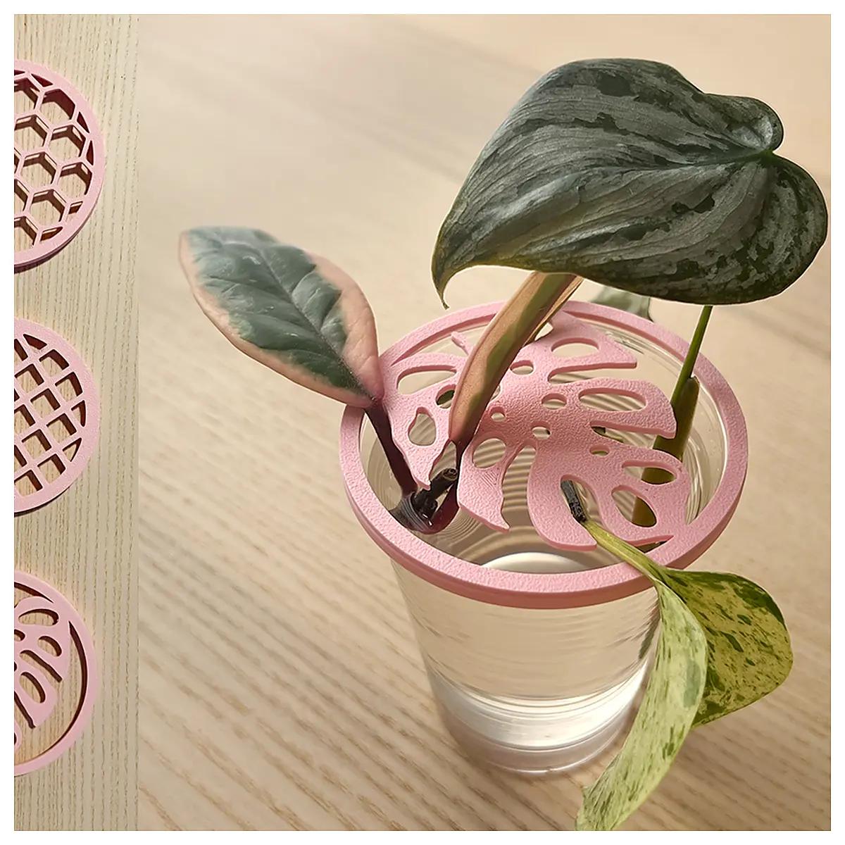 Plant Cuttings Tray Propagation Tray Seedling Dome Seedling Starter Propagation Container Succulents Flowers Cutting Cultivation