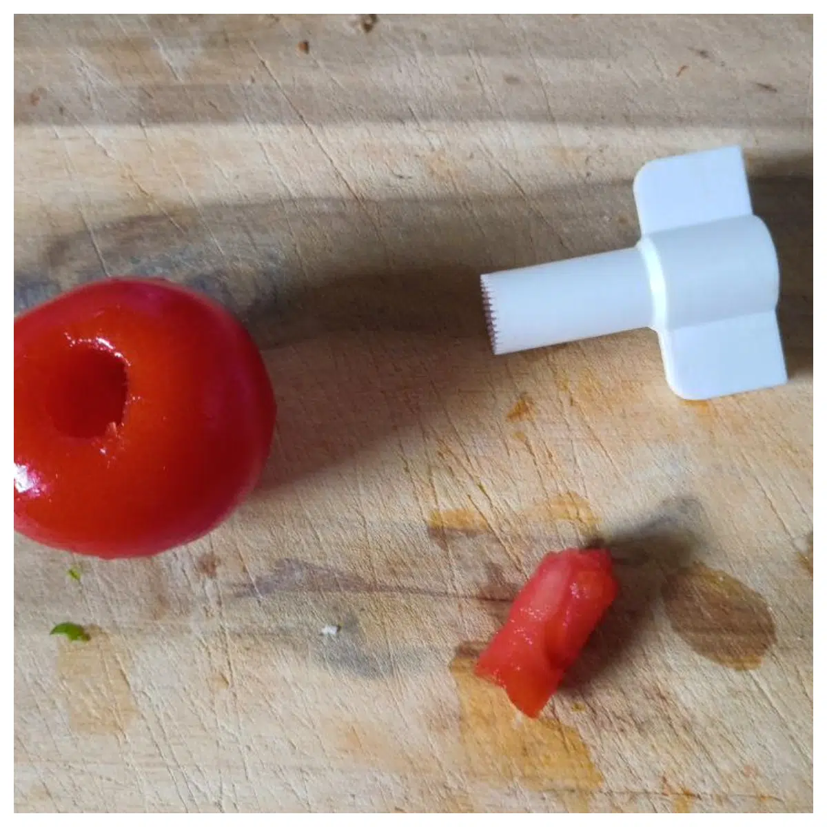 Tomato Deflhopper Garden Tool Deflushing Tool Vegetable Picker Clippers Plant Care