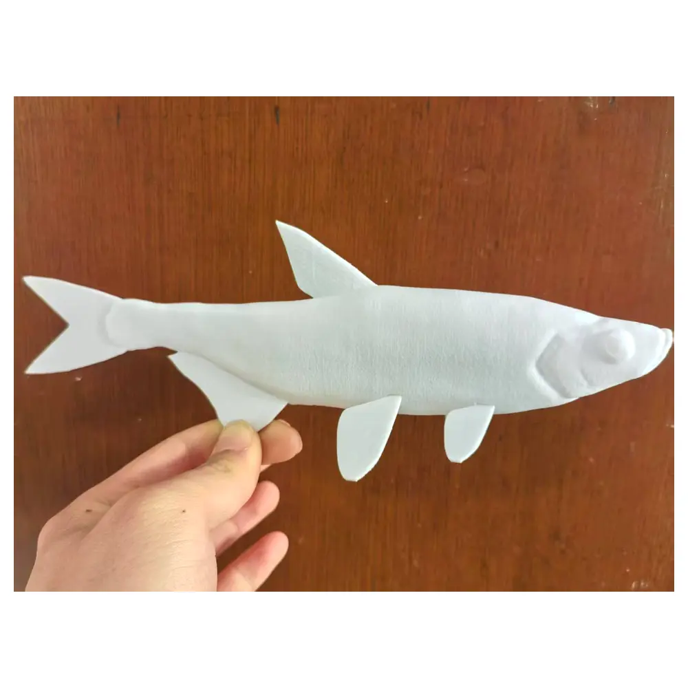 Erythroculter ilishaeformis Fish Care Feeding Breeding Aquarium Accessories Repair Supplements