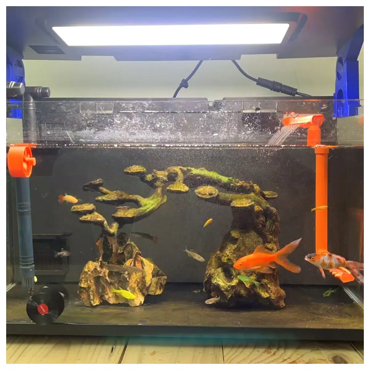 Fish Tank Automatic Rain Simulation Fish Tank Humidifier Fish Tank Accessories Aquarium Decoration