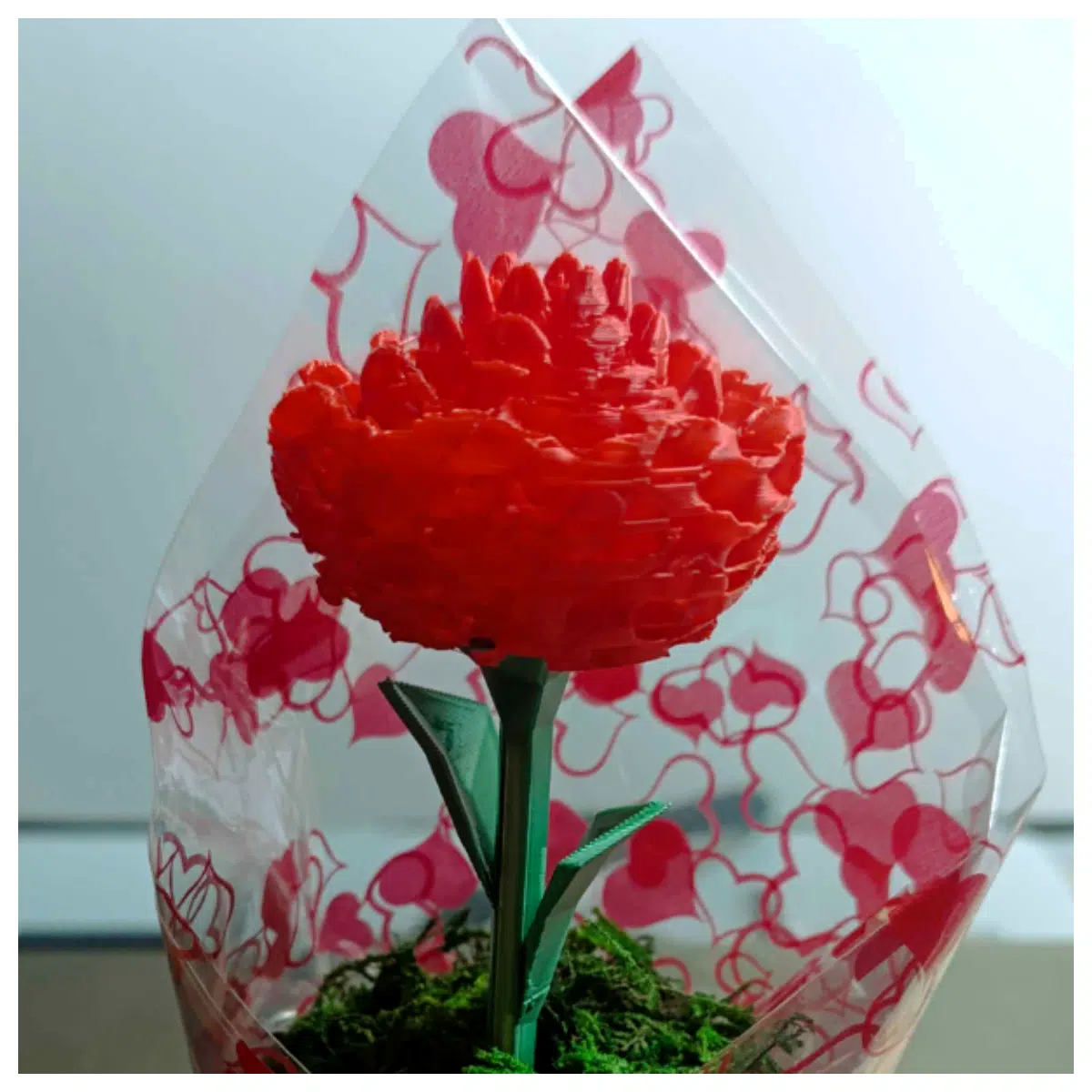 Vase Small Vase Decorative Vase Creative Vase Floral Vase Gift Vase Arrangement Potted Plants