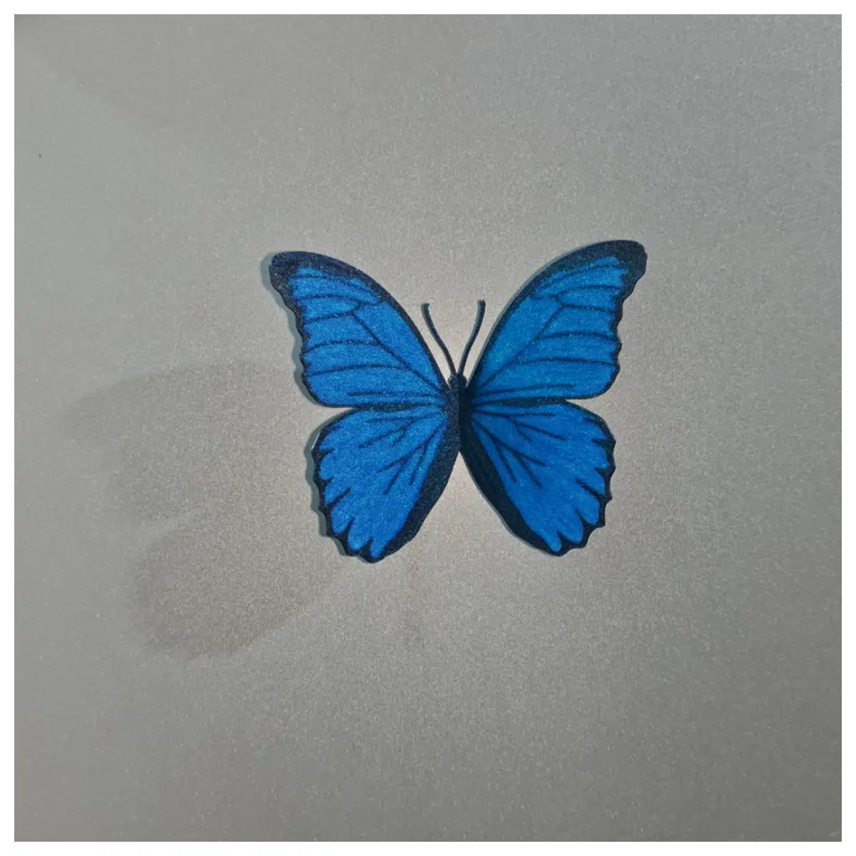 Butterfly Magnetic Tiles Set Decoration Wall Stickers Creative Gift Kids Toys Art Collage Decor Room Holiday Decorations Educational Supplies