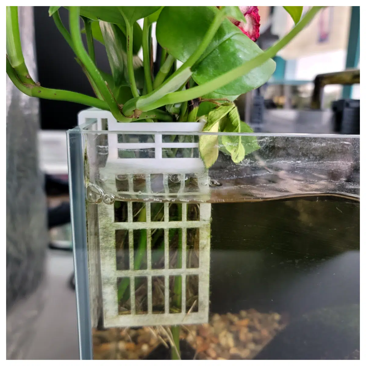 Hydroponic Basket Planting Pot Seed Starter Vegetable Growing Nutrient Solution Container Flowers