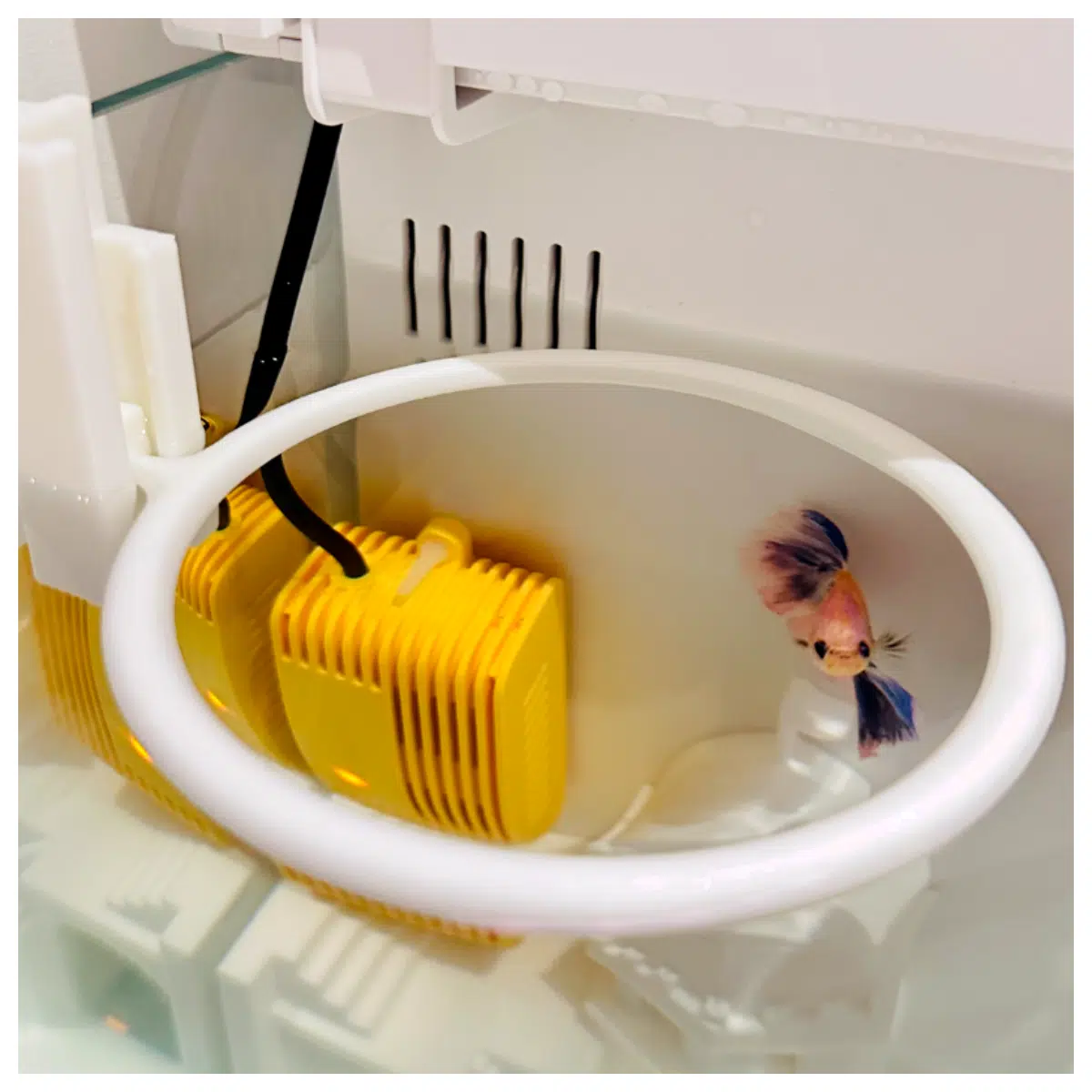 Fish Tank 2nd Gen Feeder Automatic Fish Food Dispenser Smart Feeding Timer Fish Tank Accessories