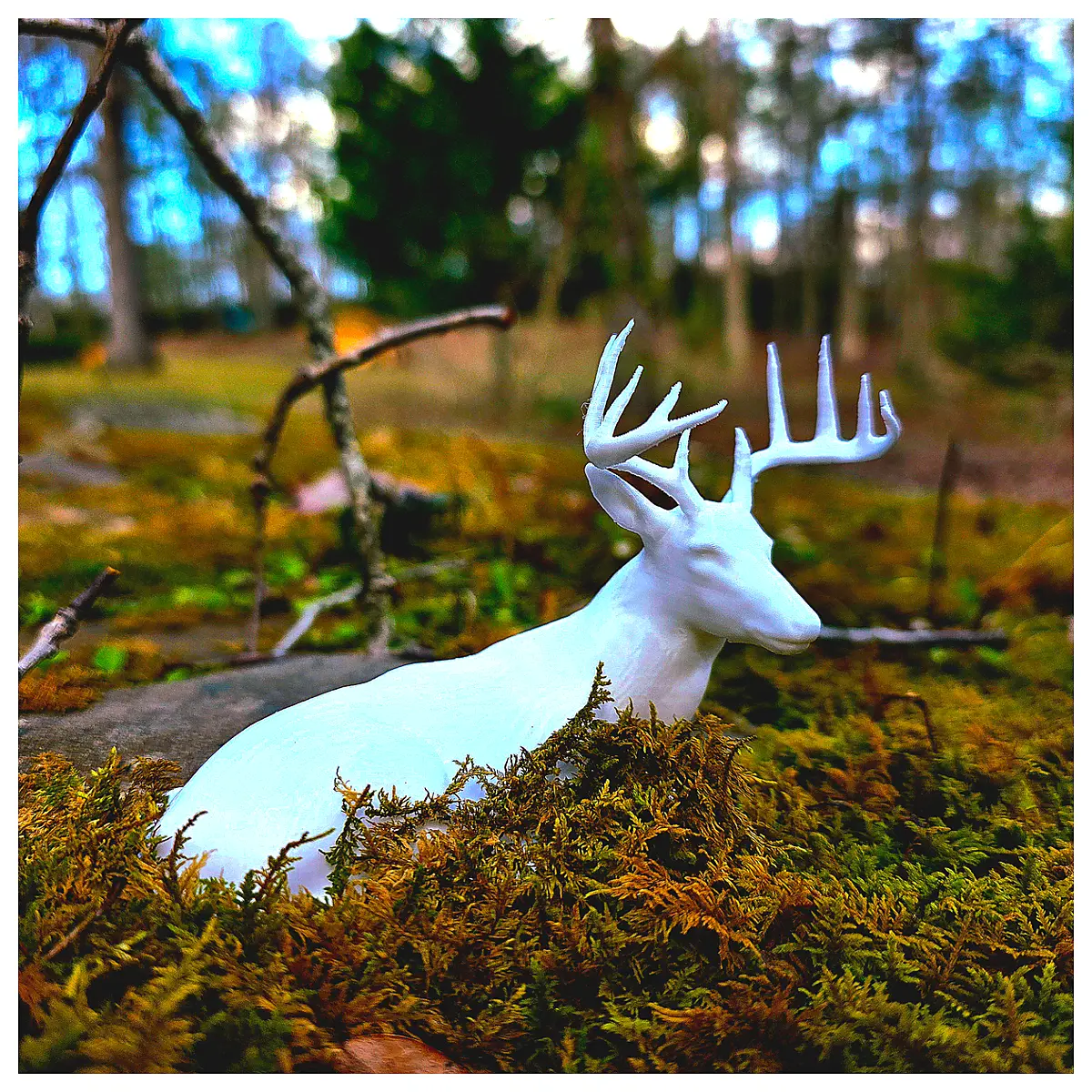 Deer Photos Download Wild Deer Images Animal Photography Resting Deer Herd