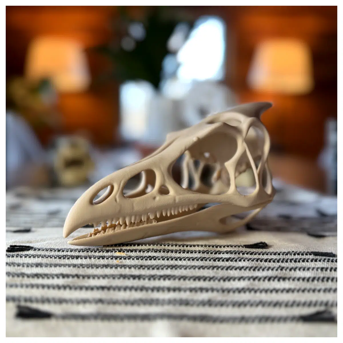 Pterodactyl Bone Dinosaur Bone Ancient Dragon Pterosaur Bone Dinosaur Skeleton Dinosaur Research