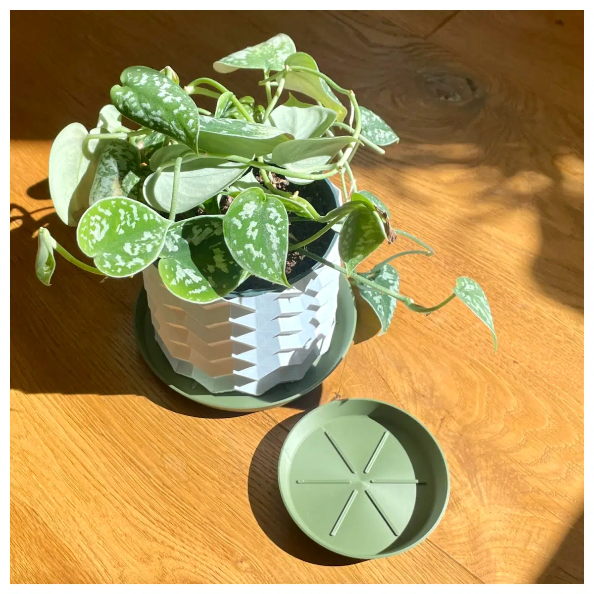 Round Plant Saucer Tray with Drainage Plant Pot Pad Gardening Water Outdoor Indoor